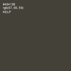 #434138 - Kelp Color Image