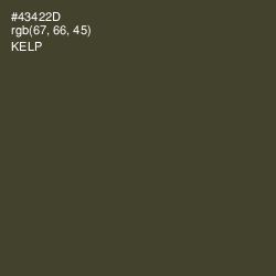 #43422D - Kelp Color Image