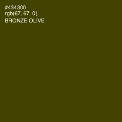 #434300 - Bronze Olive Color Image