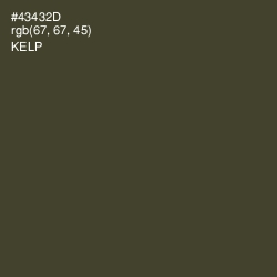 #43432D - Kelp Color Image