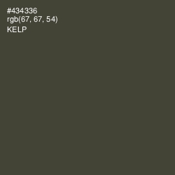 #434336 - Kelp Color Image