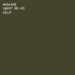 #43442B - Kelp Color Image