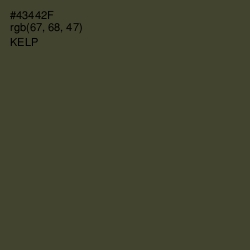 #43442F - Kelp Color Image