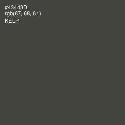 #43443D - Kelp Color Image