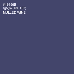 #43456B - Mulled Wine Color Image