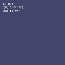 #43456C - Mulled Wine Color Image