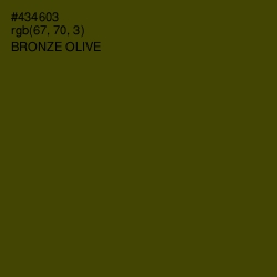 #434603 - Bronze Olive Color Image