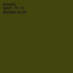 #43460C - Bronze Olive Color Image