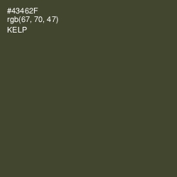 #43462F - Kelp Color Image