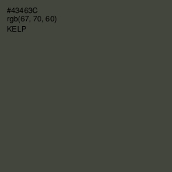 #43463C - Kelp Color Image