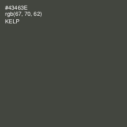 #43463E - Kelp Color Image