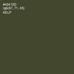 #43472D - Kelp Color Image