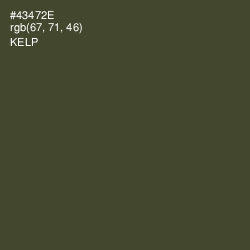 #43472E - Kelp Color Image