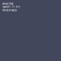 #43475B - River Bed Color Image