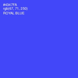 #4347FA - Royal Blue Color Image