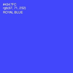 #4347FC - Royal Blue Color Image