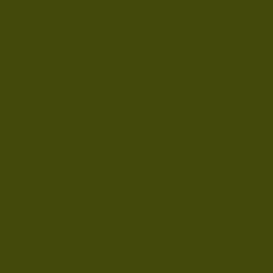 #43480B - Bronze Olive Color Image