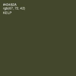 #43482A - Kelp Color Image