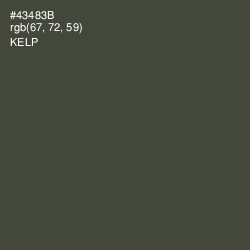 #43483B - Kelp Color Image