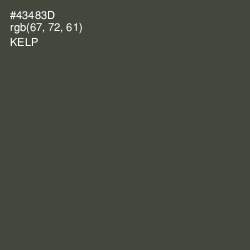 #43483D - Kelp Color Image