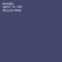 #43486C - Mulled Wine Color Image