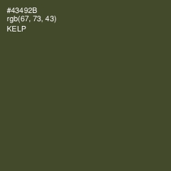 #43492B - Kelp Color Image