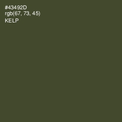 #43492D - Kelp Color Image