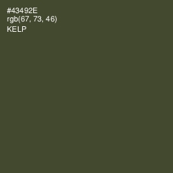 #43492E - Kelp Color Image