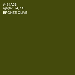 #434A0B - Bronze Olive Color Image