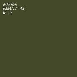 #434A2A - Kelp Color Image