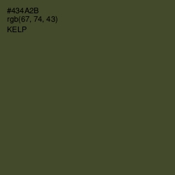 #434A2B - Kelp Color Image