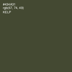 #434A31 - Kelp Color Image