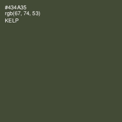 #434A35 - Kelp Color Image