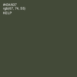 #434A37 - Kelp Color Image