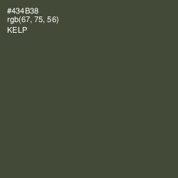 #434B38 - Kelp Color Image