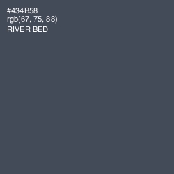 #434B58 - River Bed Color Image
