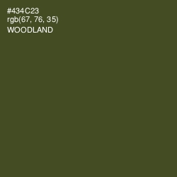 #434C23 - Woodland Color Image