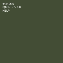 #434D36 - Kelp Color Image