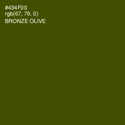 #434F00 - Bronze Olive Color Image