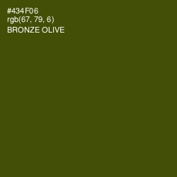 #434F06 - Bronze Olive Color Image