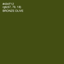 #434F12 - Bronze Olive Color Image