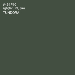 #434F40 - Tundora Color Image
