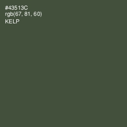 #43513C - Kelp Color Image