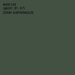 #435143 - Gray Asparagus Color Image