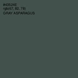 #43524E - Gray Asparagus Color Image