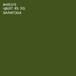 #43531E - Saratoga Color Image