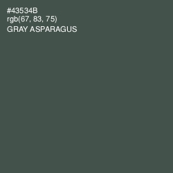 #43534B - Gray Asparagus Color Image