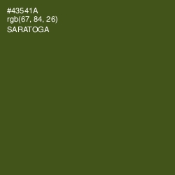 #43541A - Saratoga Color Image