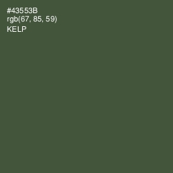 #43553B - Kelp Color Image