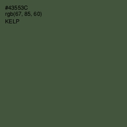 #43553C - Kelp Color Image